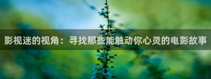 酷客免费影院2025最新：影视迷的视角：寻找那些能触动你心灵的电影故事
