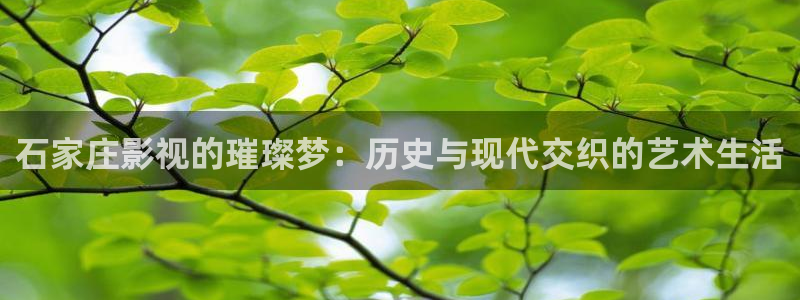 酷客影院2023免费观看：石家庄影视的璀璨梦：历史与现代交织的艺术生活