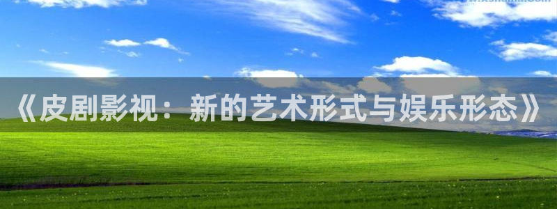 酷客影视院：《皮剧影视：新的艺术形式与娱乐形态》
