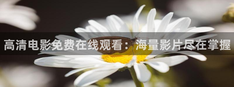 酷客免费影院看：高清电影免费在线观看：海量影片尽在掌握