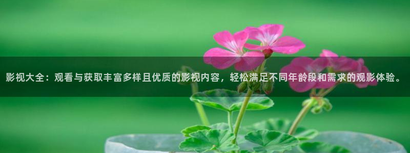 酷客影院在线观看免费全集：影视大全：观看与获取丰富多样且优质的影视内容，轻松满足不同年龄段和需求的观影体验。
