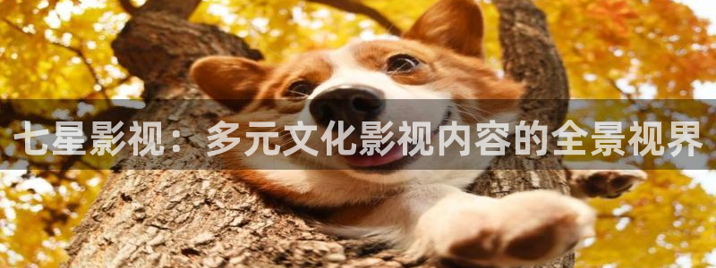 酷客私人影院：七星影视：多元文化影视内容的全景视界