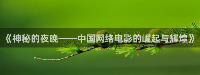 酷客影院 电视剧：《神秘的夜晚——中国网络电影的崛起与辉煌》