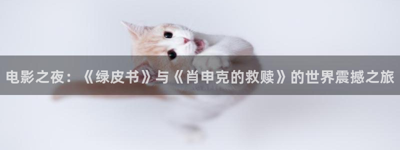 酷客影院在线：电影之夜：《绿皮书》与《肖申克的救赎》的世界震撼之旅