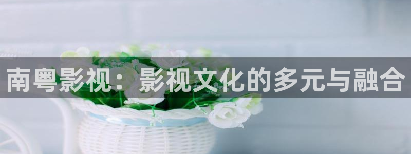 酷客免费电影院：南粤影视：影视文化的多元与融合