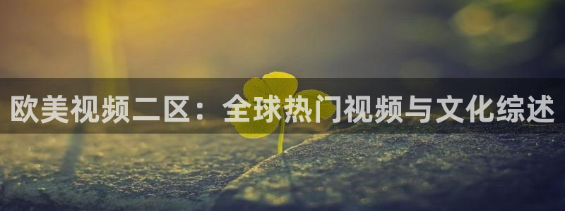 理论片酷客影院：欧美视频二区：全球热门视频与文化综述